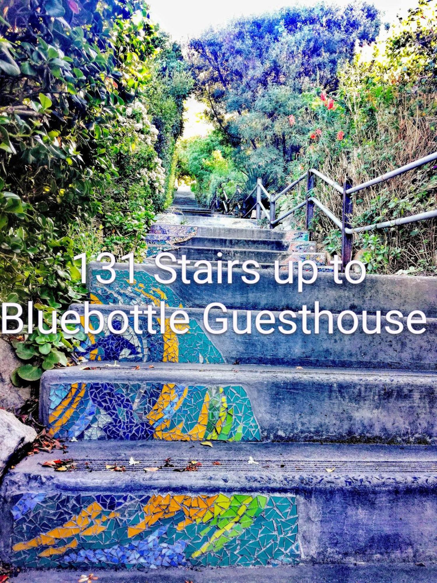 Bluebottle Guesthouse Muizenberg Dış mekan fotoğraf